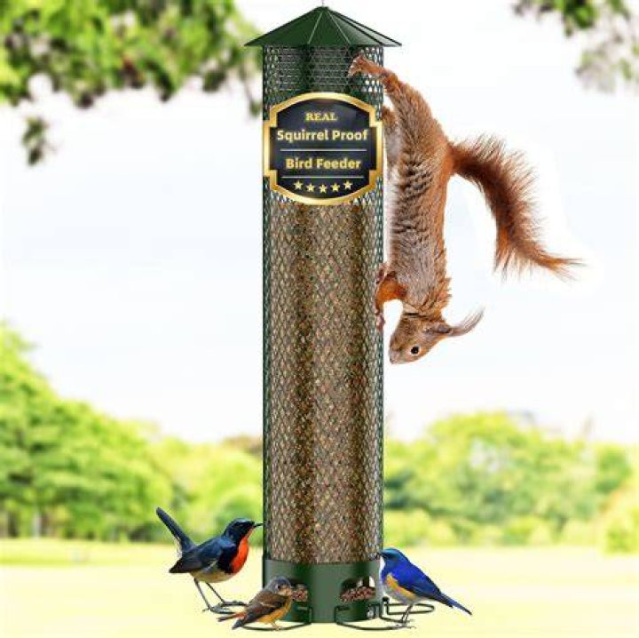 Are bird feeders legal in nj?