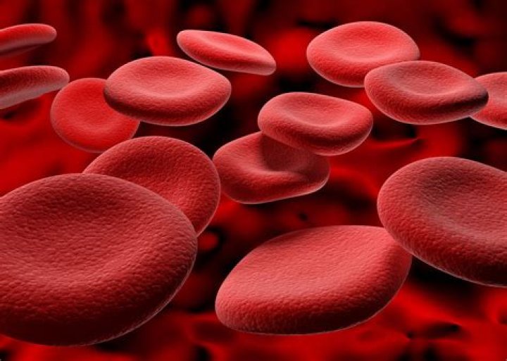 Are blood red cells?