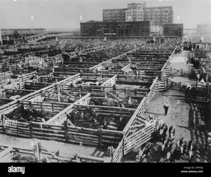 Are there still stockyards in chicago?