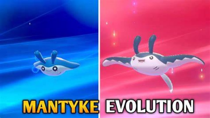 At which level mantyke evolve?