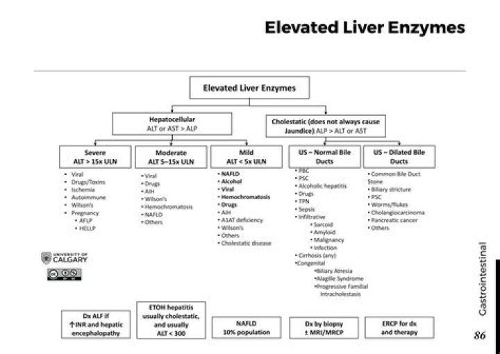 Can antiepileptic drugs increase liver enzymes?