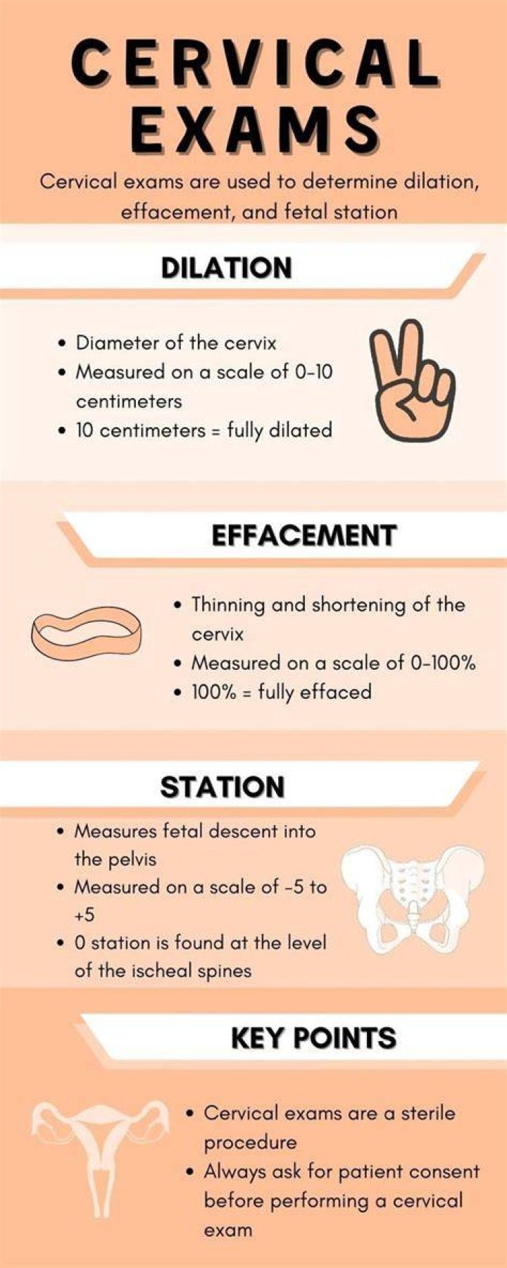 Can midwife check cervix?