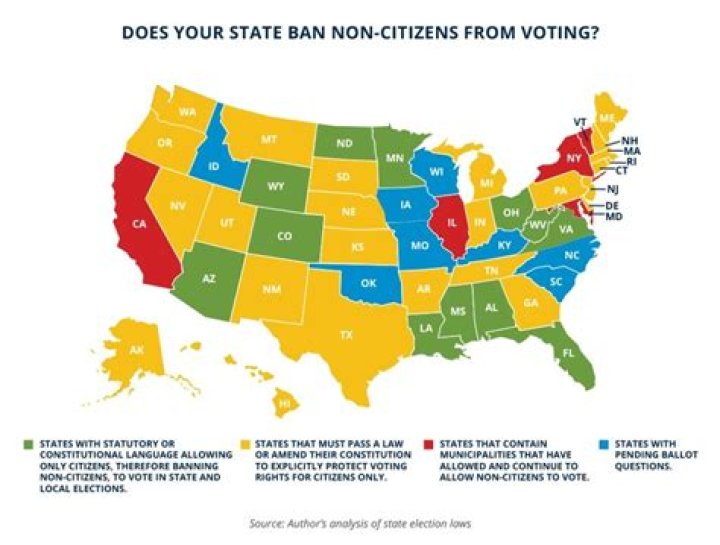 Can non citizens vote in any country?
