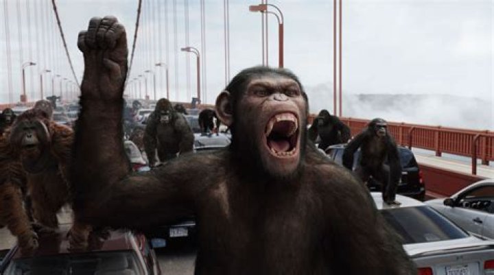 Could apes take over the world?