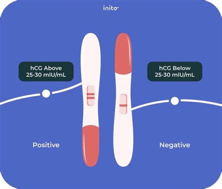 Could i still be pregnant after a negative test?