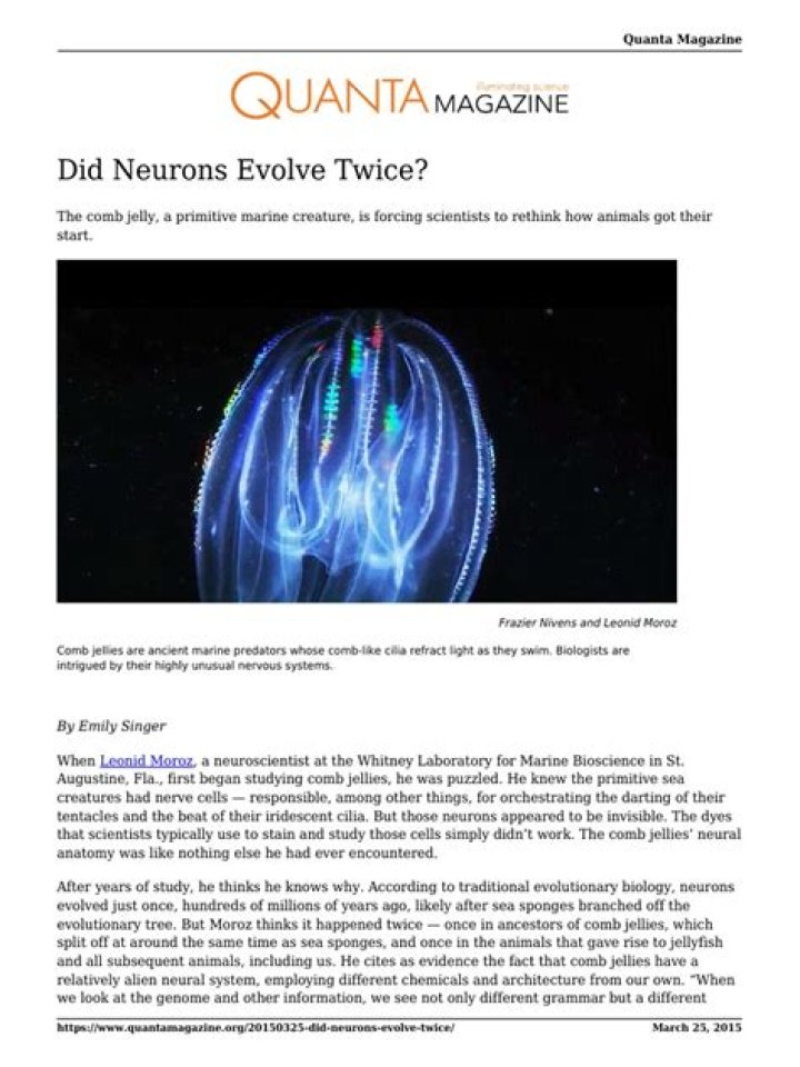 Did neurons evolve twice?