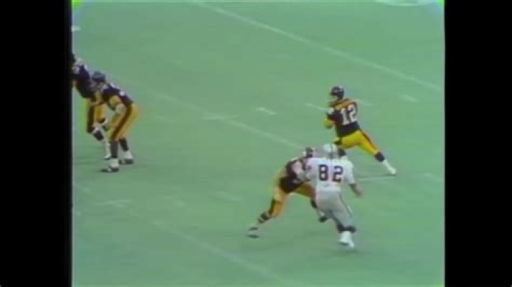 Did the immaculate reception hit the ground?