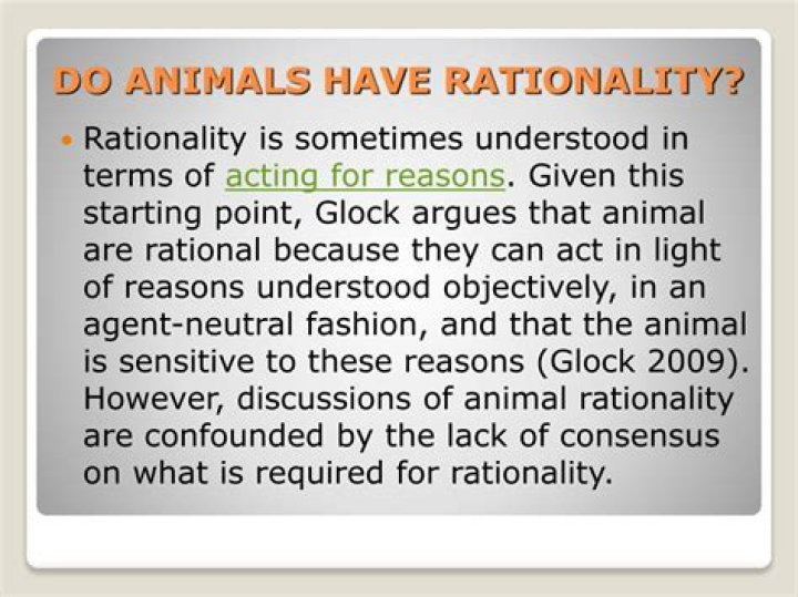 Do animals have rationality?