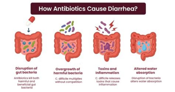 Do intravenous antibiotics cause diarrhea?
