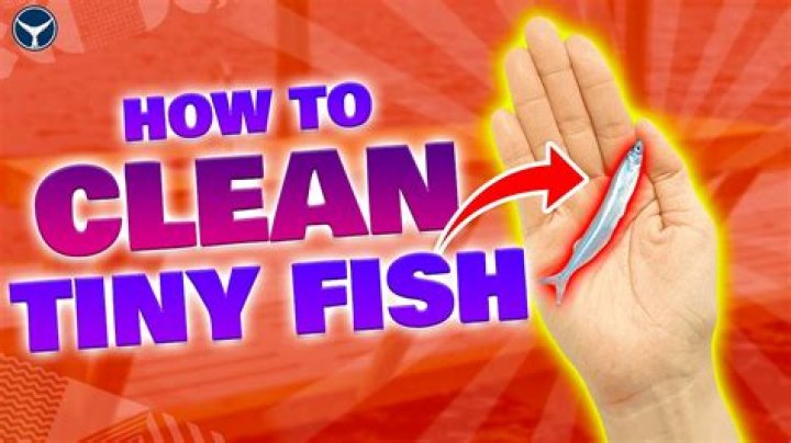 Do you clean grunion?