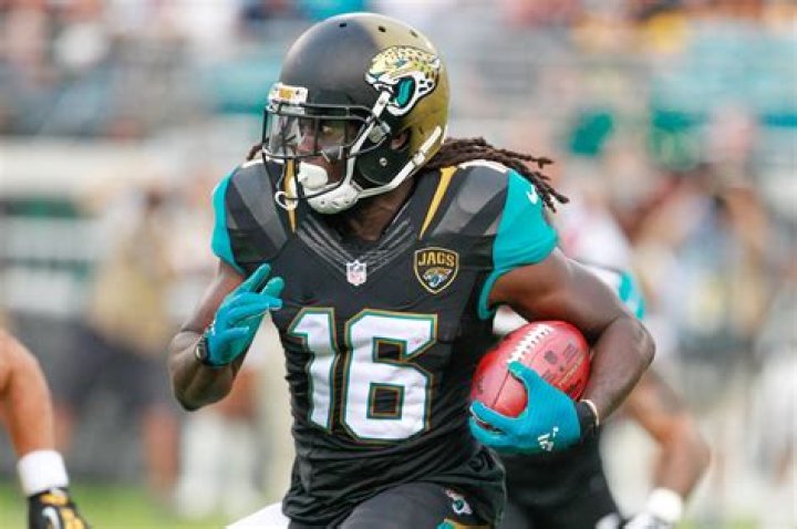 Does denard robinson still play in the nfl?