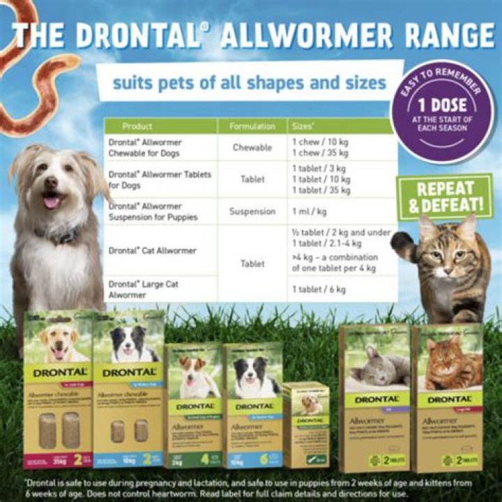 Does drontal kill whipworms?