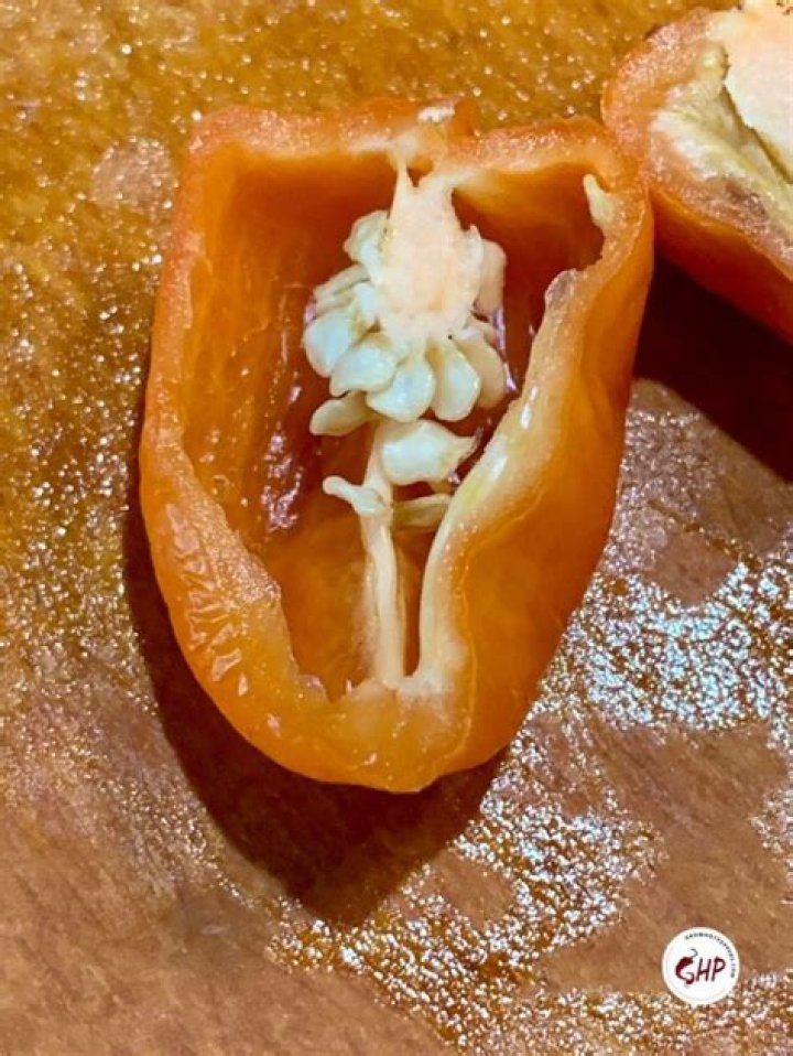 Does habanero have a tilde?