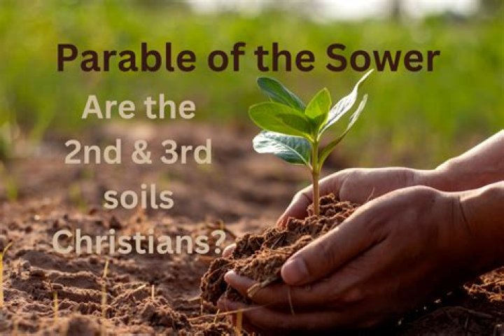 Does lauren's father die in parable of the sower?