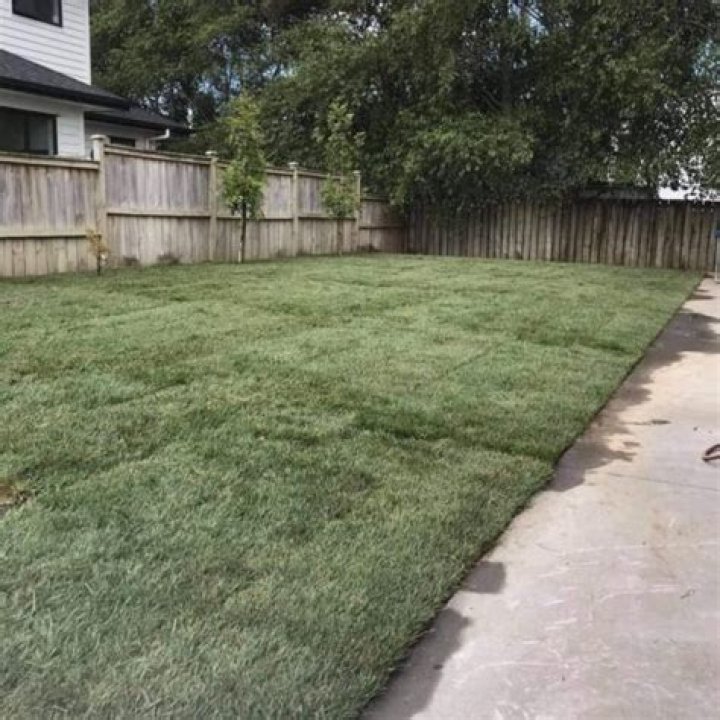 Does roll out grass work?