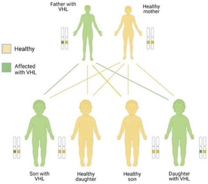 How is von hippel lindau syndrome inherited?