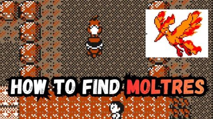 How to find moltres?