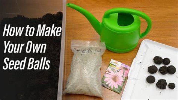 How to make seed balls at home?