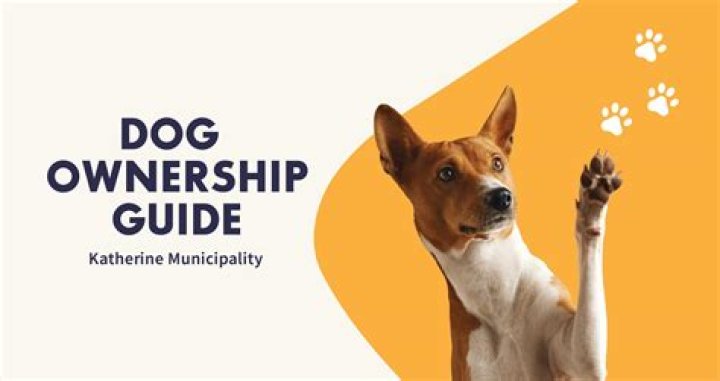 Is a dog chip proof of ownership?