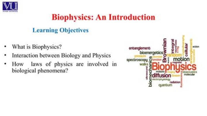 Is biophysics in demand?