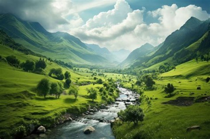 Is landscape a scenery?