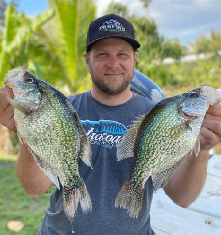 Is perch a panfish?