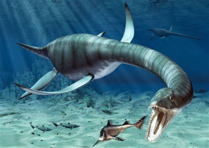 Is plesiosaur a dinosaur?