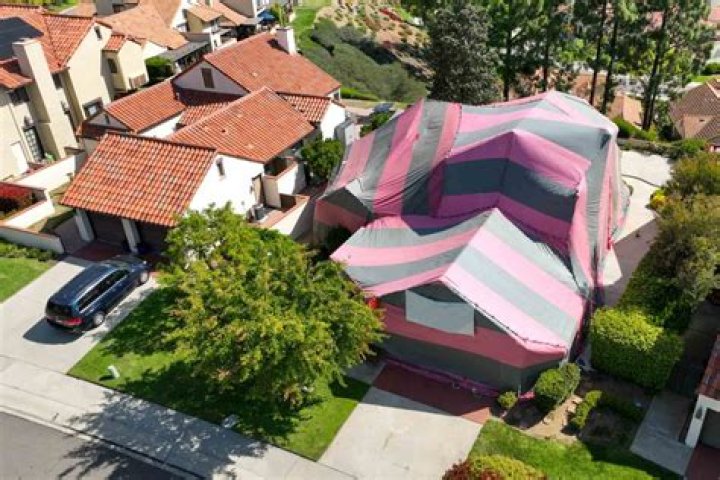 Is tenting for termites safe?