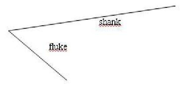Is the definition of fluke?