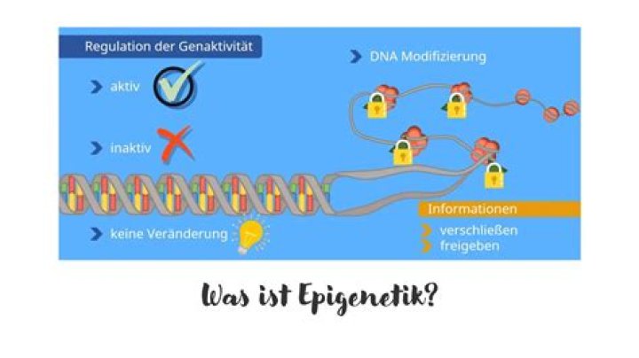 Was ist ein epigenese?