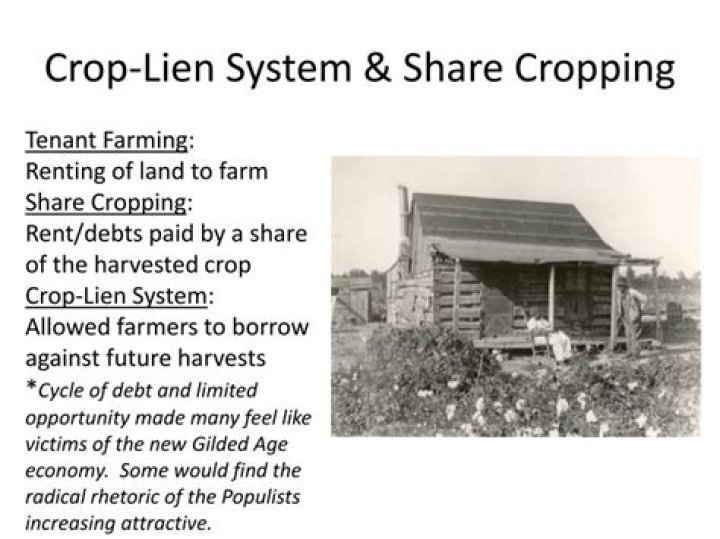 Was the crop lien system?