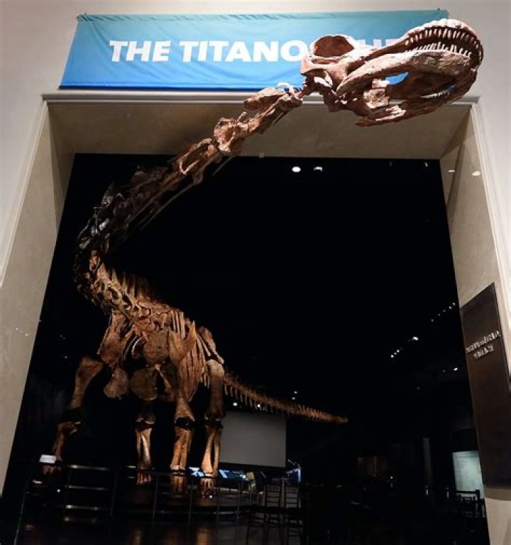 Was the titanosaur real?