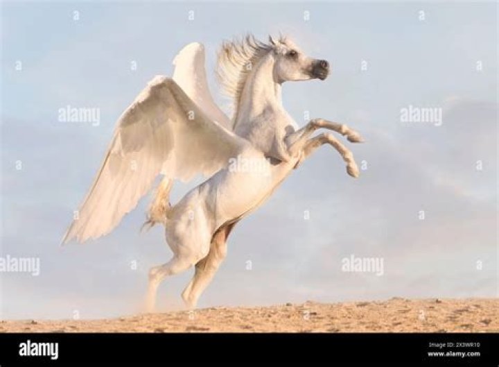 Was winged horse real?