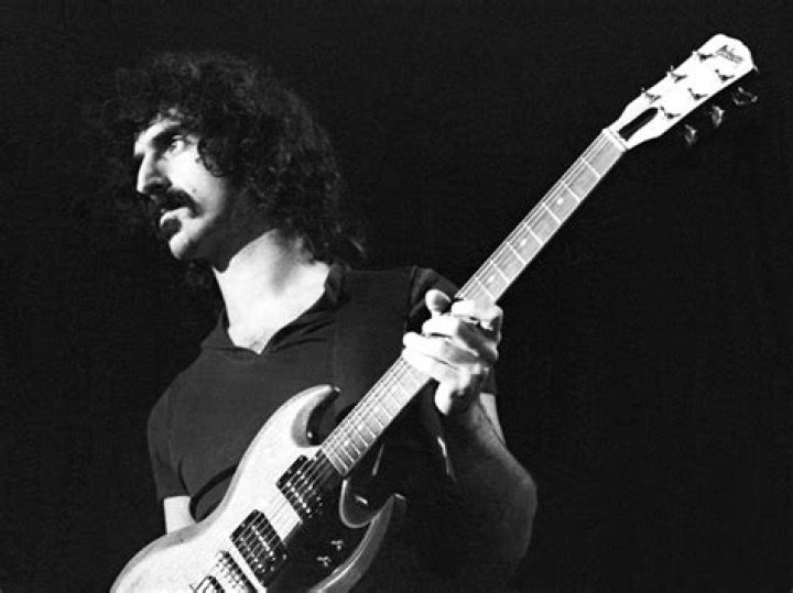 Was zappa a genius?