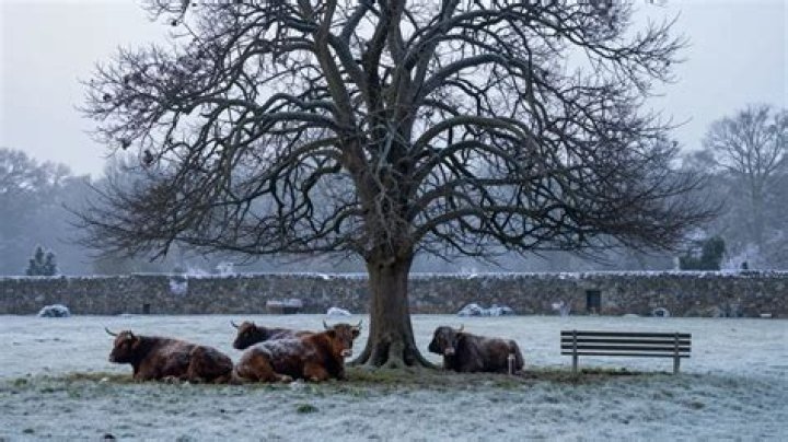 What's on in pollok park?