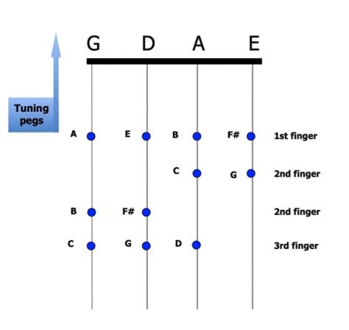 What are the best fiddle strings?