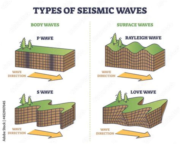 What are the types of seismic waves?