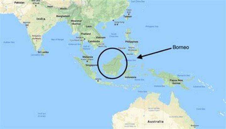 What country is borneo located in?