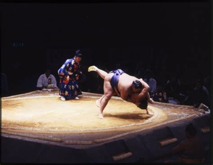 What do sumo wrestlers eat in a day?