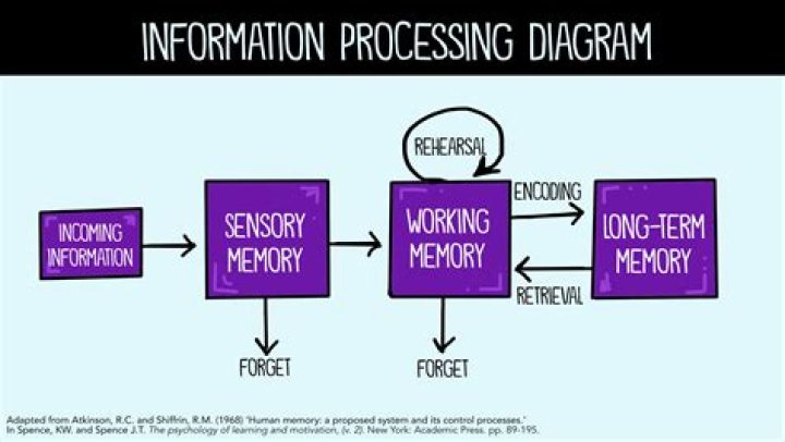 What do you understand by frontogenesis?