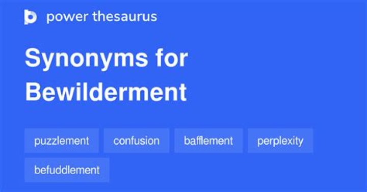 What does bewilderment mean synonym?