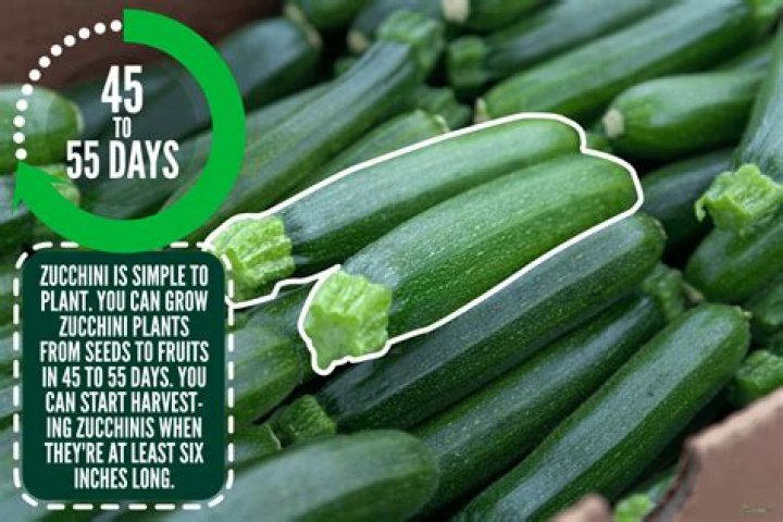 What does it take to live fruitfully?