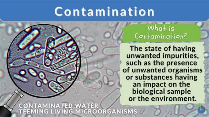 What does the word contaminated?