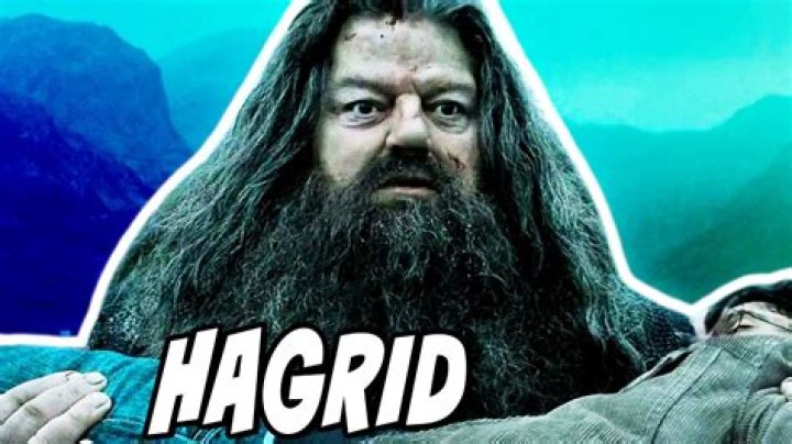 What happened to hagrid?
