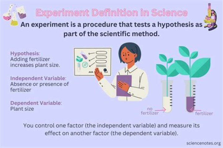What is a experiment?