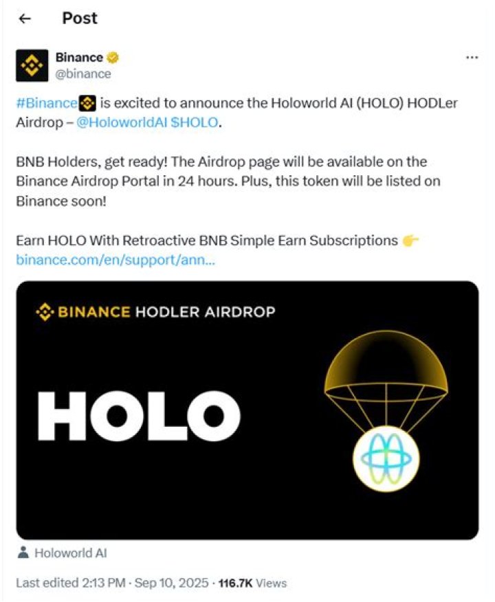 What is holo crypto?