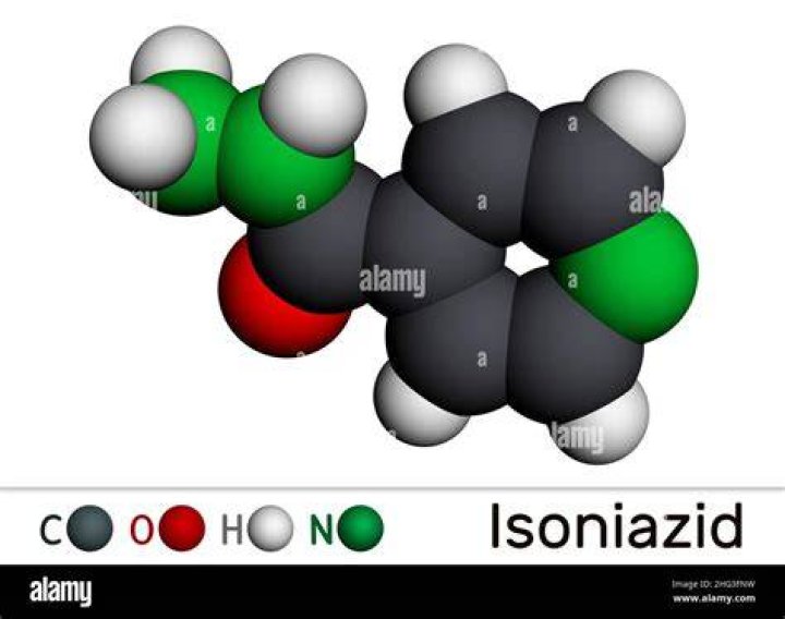 What is isonicotinic acid hydrazide?