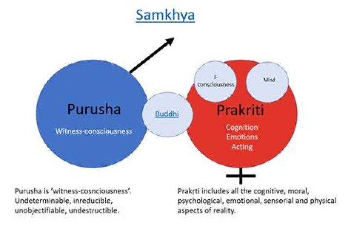 What is purusha according to samkhya?