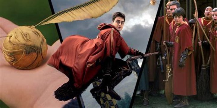 What quidditch player looks for the golden snitch?
