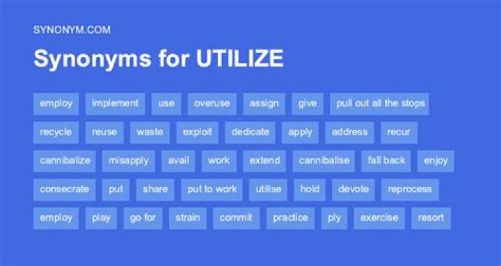 Whats a different word for utilized?